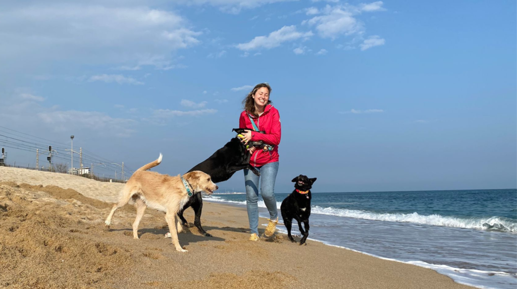 ¿Cuáles son los requisitos para adoptar un perro?