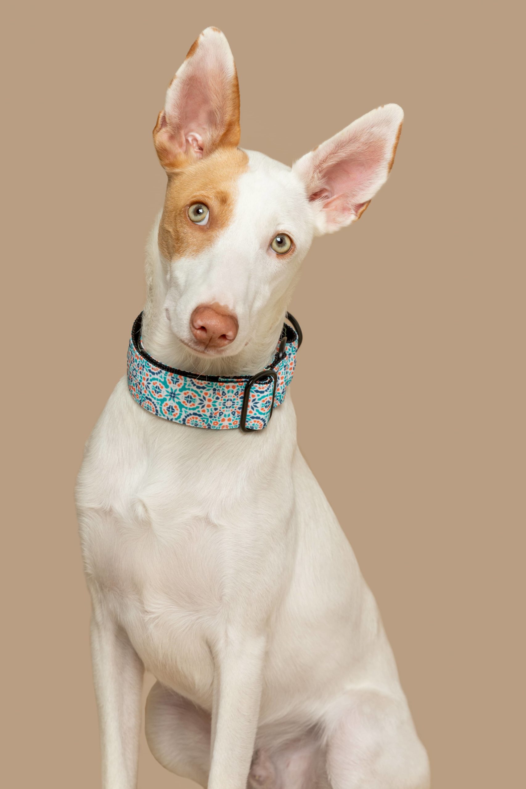 Collar Martingale Boracay — Imagen 2