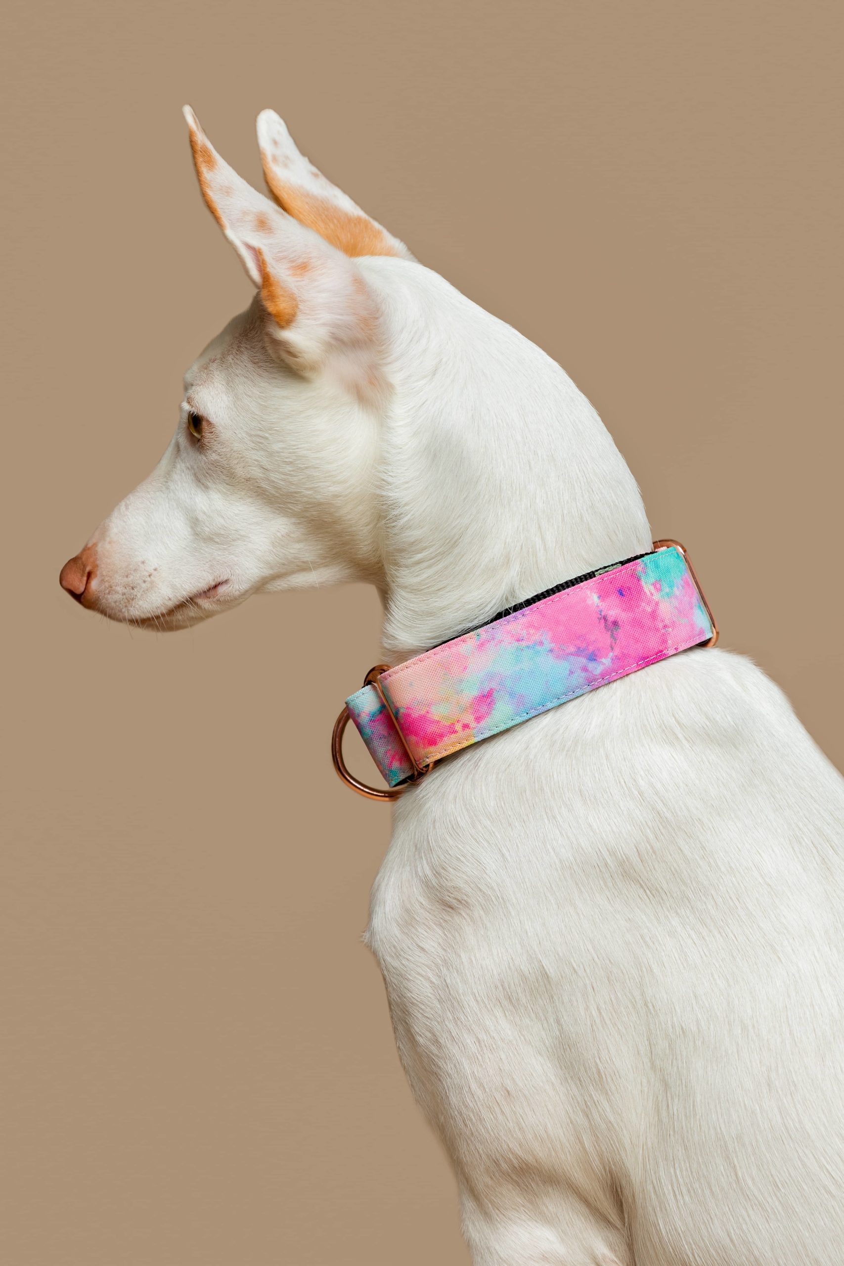 Collar Martingale Yamuna — Imagen 2