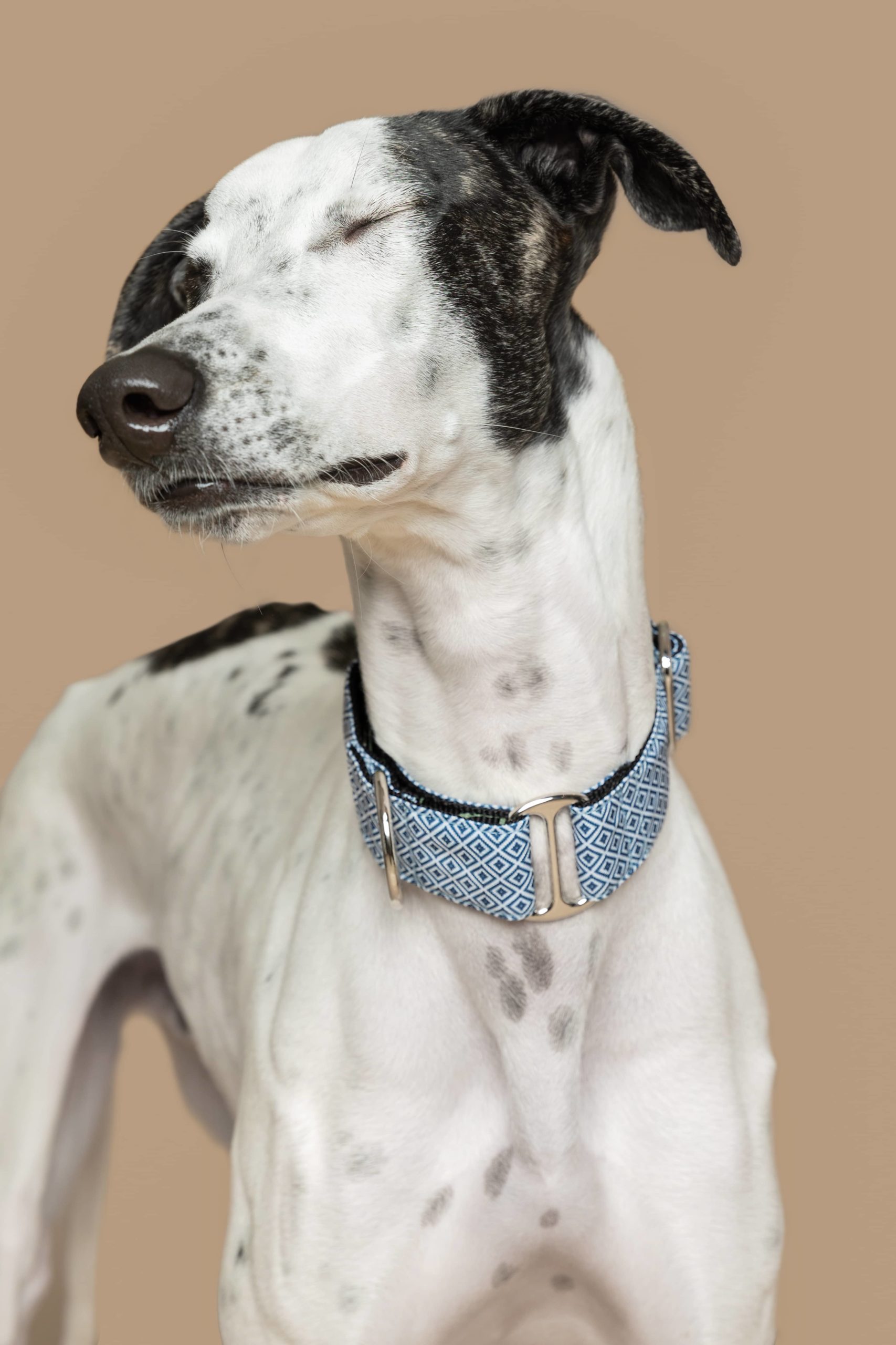 Collar Martingale Zanzíbar — Imagen 2