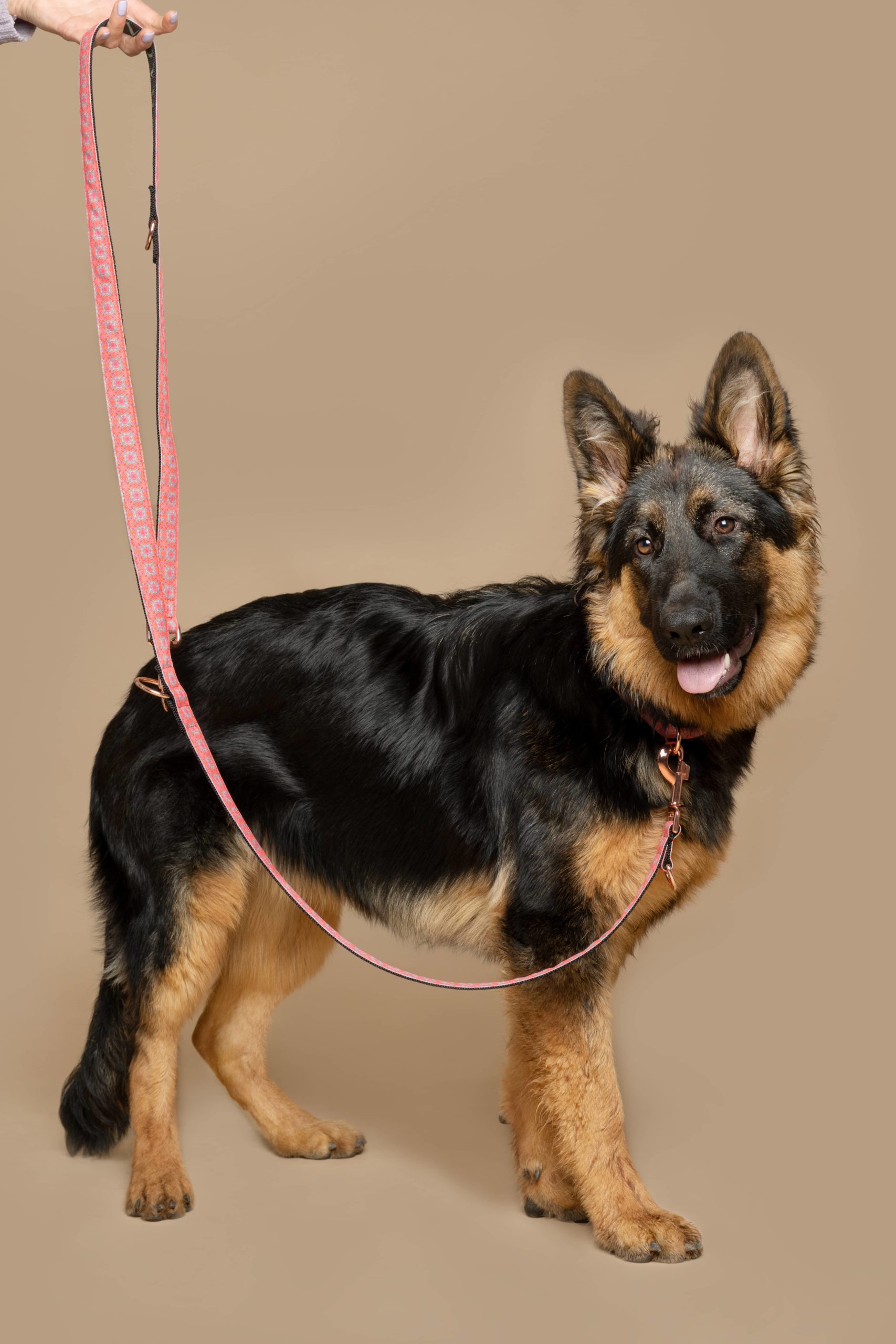 Multi-position leash Haina — Image 2